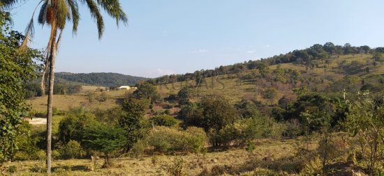 chacara-venda-pimentas-mg-349718