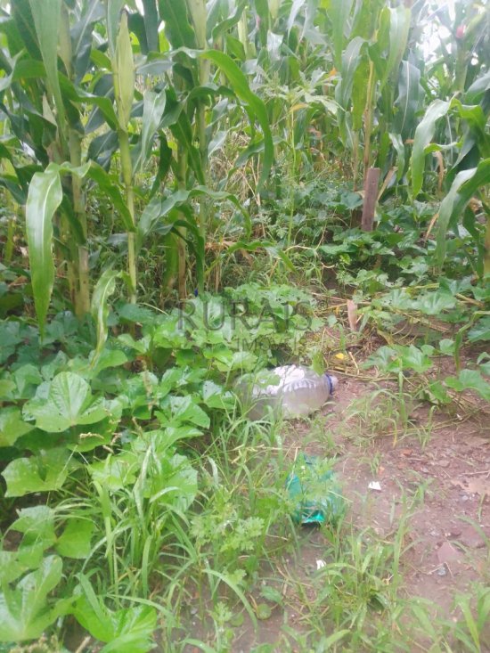 lote-venda-bairro-jardim-petropolis-betim-1081318