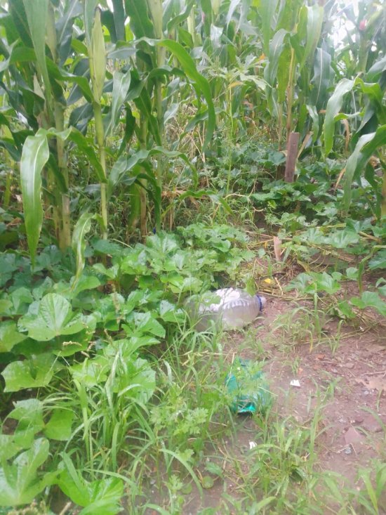 lote-venda-bairro-jardim-petropolis-betim-1081337