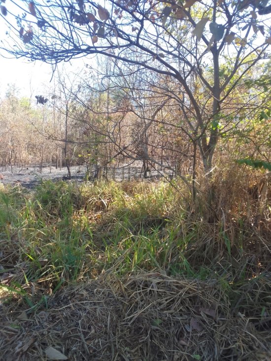 chacara-venda-bairro-ponte-alta-betim-1055940