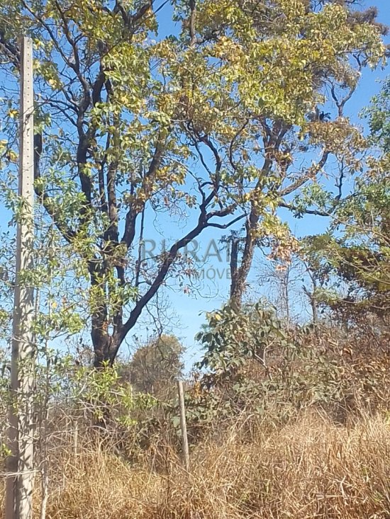 chacara-venda-bairro-ponte-alta-betim-1055944