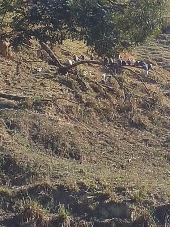 sitio-venda-azurita-mateus-leme-1048635