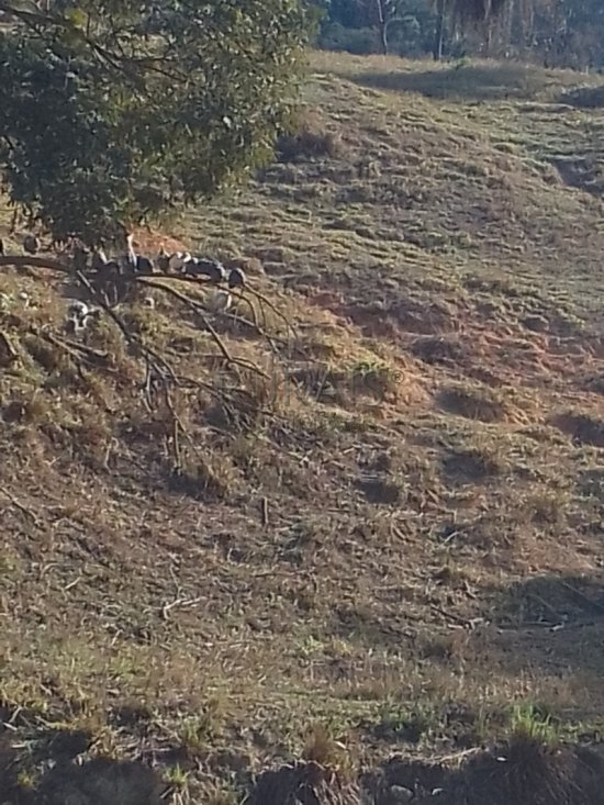 sitio-venda-azurita-mateus-leme-1048636