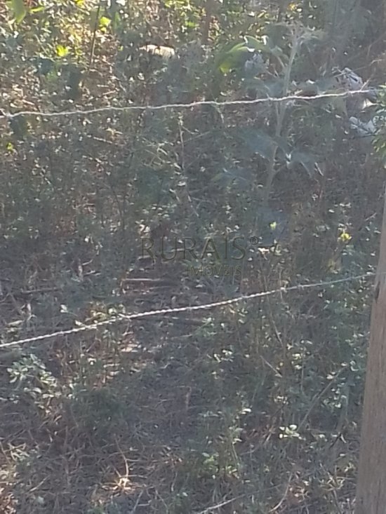 sitio-venda-azurita-mateus-leme-1048637