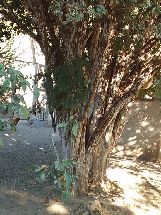 sitio-venda-azurita-mateus-leme-1048628