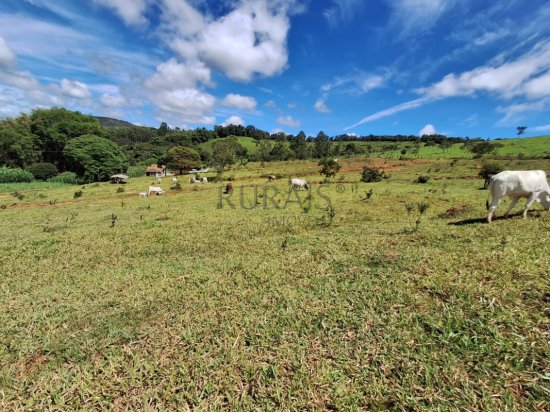 fazenda-venda-piedade-dos-gerais-935861