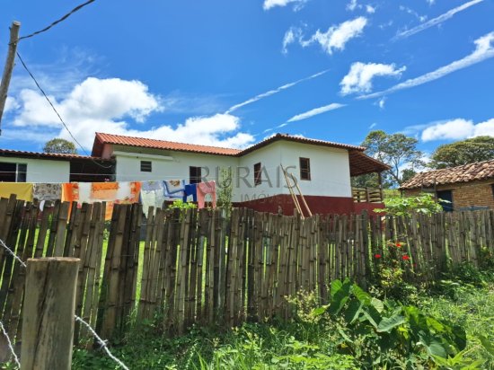 fazenda-venda-piedade-dos-gerais-935864