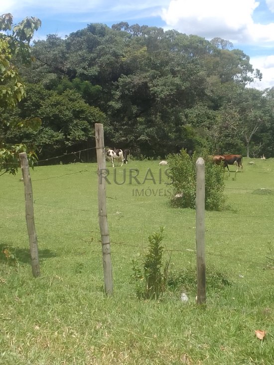 sitio-venda-tropeiros-esmeraldas-1007242