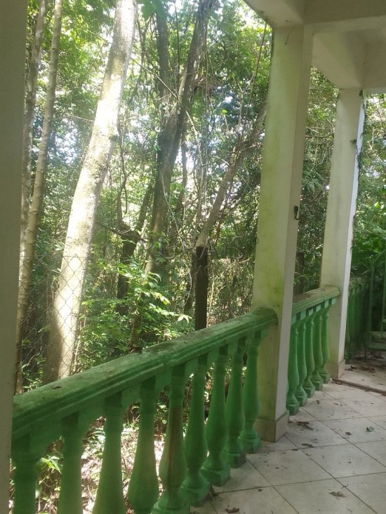sitio-venda-tropeiros-esmeraldas-1007247