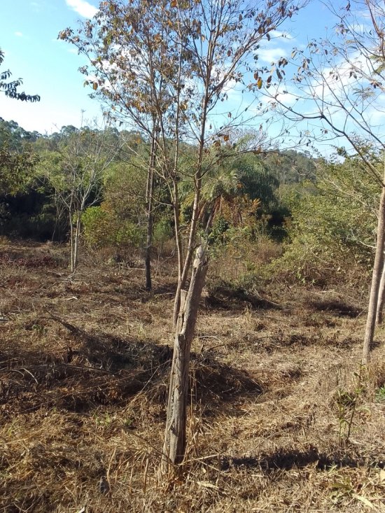 chacara-venda-chacara-financiada-azurita-mateus-leme--1040461