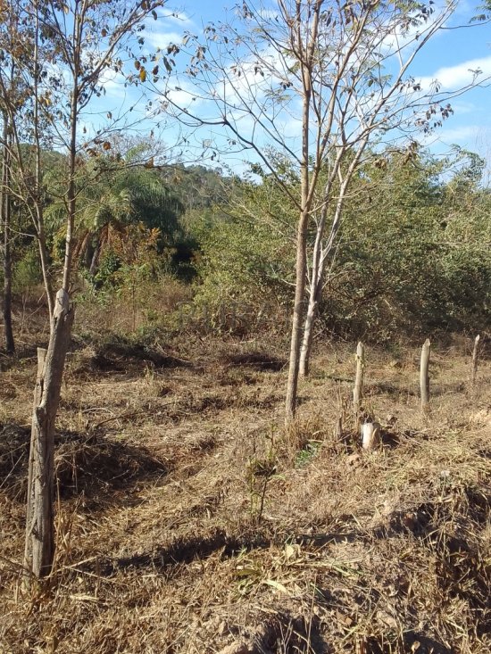 chacara-venda-chacara-financiada-azurita-mateus-leme--1040462