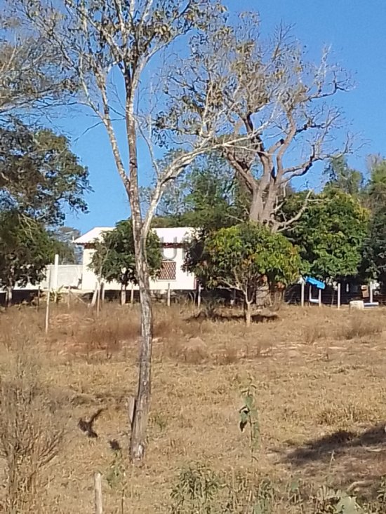 chacara-venda-chacara-financiada-azurita-mateus-leme--1040463