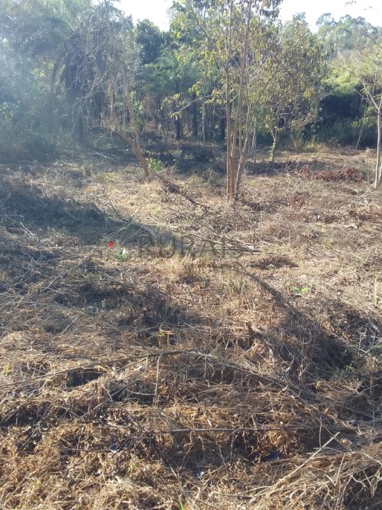 chacara-venda-chacara-financiada-azurita-mateus-leme--1040465