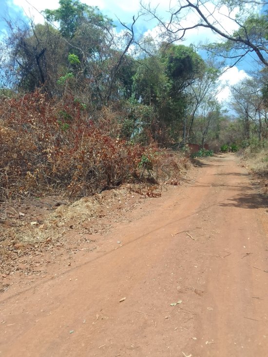 chacara-venda-fazenda-olhos-dagua-m-leme-939795