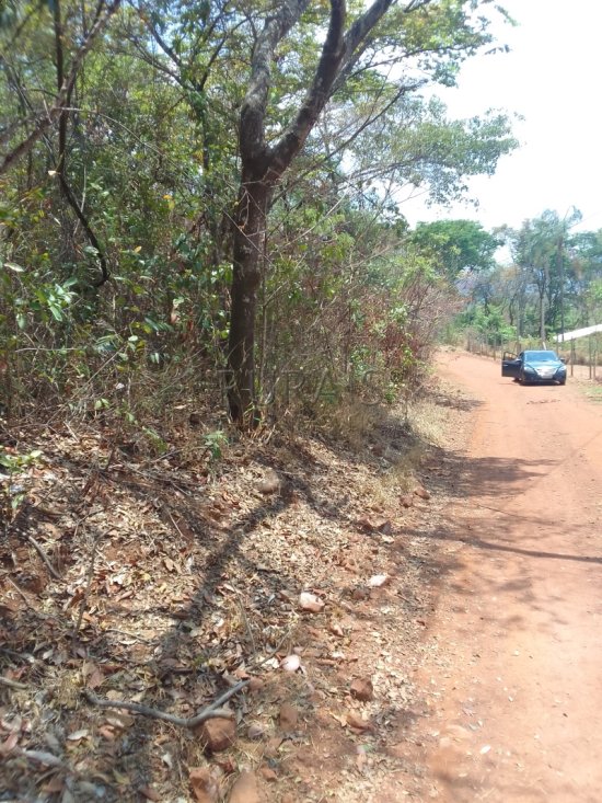 chacara-venda-fazenda-olhos-dagua-m-leme-939791