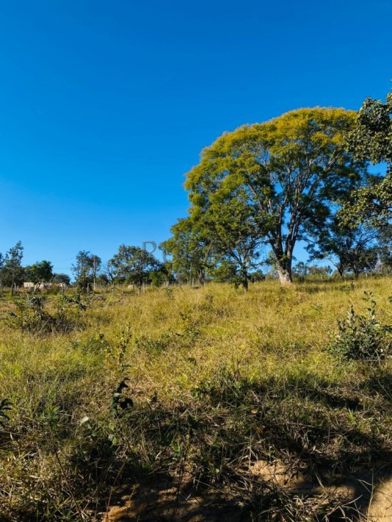 chacara-venda-esmeraldas-1027215