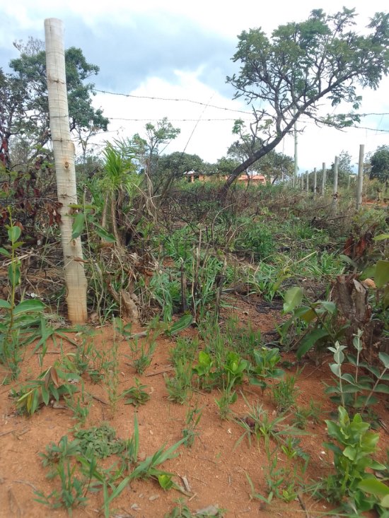 chacara-venda-chacara-financiada-bairro-atalaia-mateus-leme-1108265