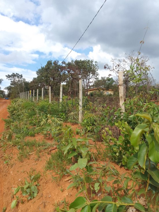 chacara-venda-chacara-financiada-bairro-atalaia-mateus-leme-1108267