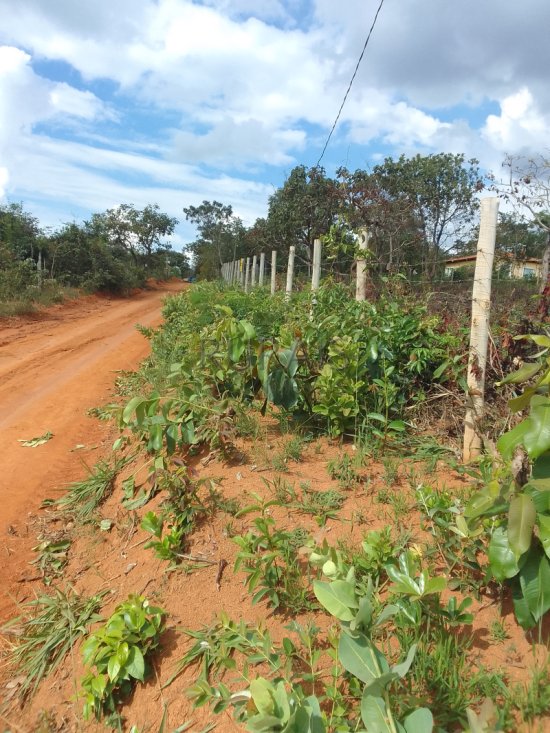 chacara-venda-chacara-financiada-bairro-atalaia-mateus-leme-1108269
