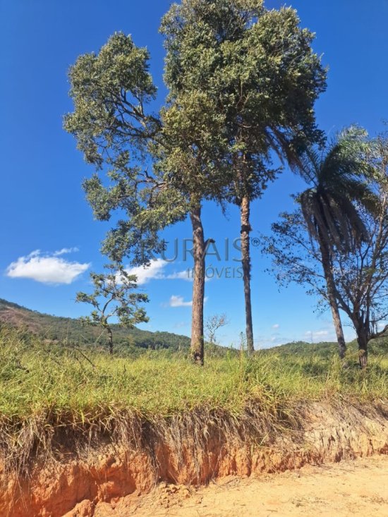 fazenda-venda-padre-joao-esmeraldas-867416