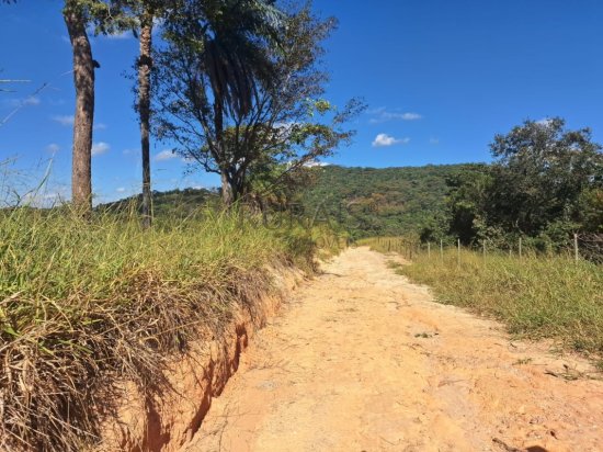 fazenda-venda-padre-joao-esmeraldas-867417