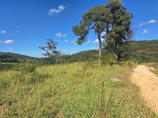 fazenda-venda-padre-joao-esmeraldas-867420