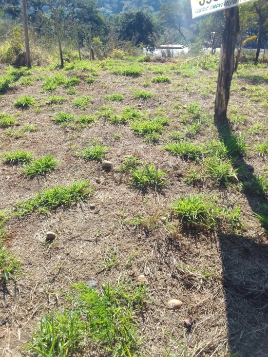 lote-venda-bairro-satelite-em-juatuba-1028328