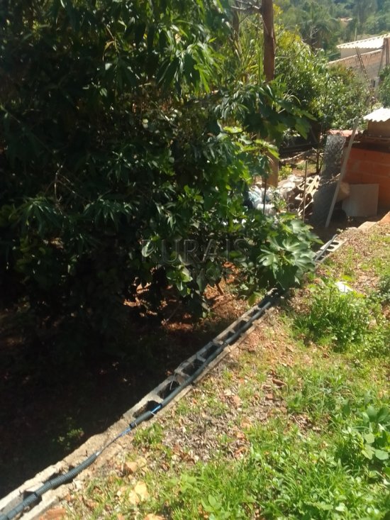 chacara-venda-azurita-mateus-leme-1068298