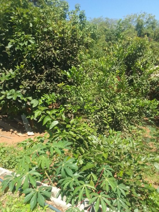 chacara-venda-azurita-mateus-leme-1068300