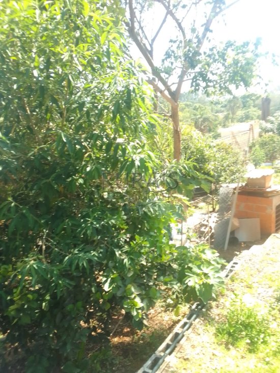 chacara-venda-azurita-mateus-leme-1068302