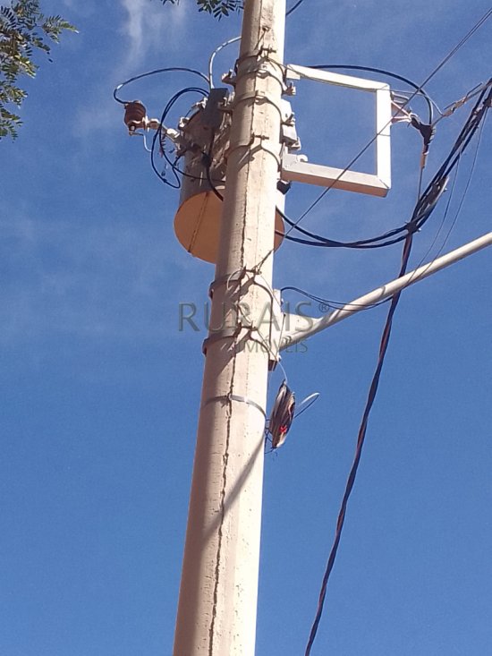 chacara-venda-fazendinha-olhos-daagua-mateus-leme-1117536