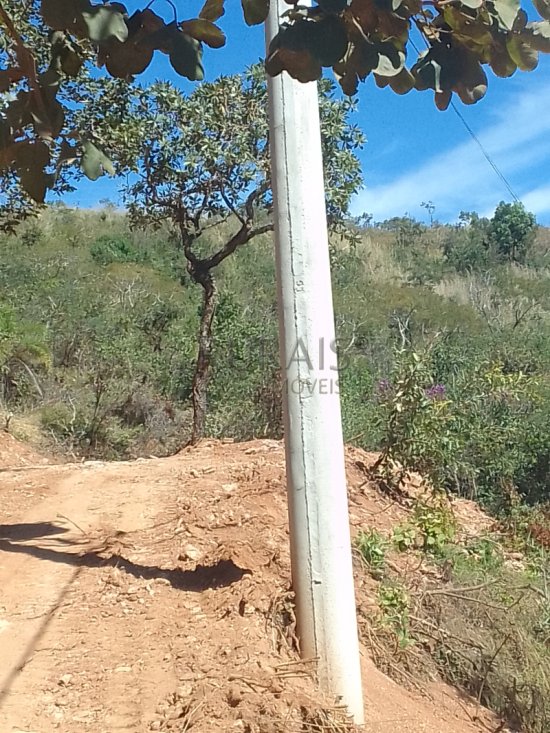 chacara-venda-fazendinha-olhos-daagua-mateus-leme-1117538