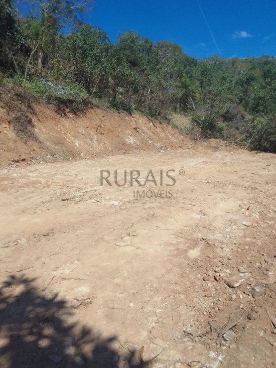 chacara-venda-fazendinha-olhos-daagua-mateus-leme-1117539