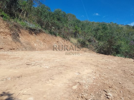 chacara-venda-fazendinha-olhos-daagua-mateus-leme-1117540