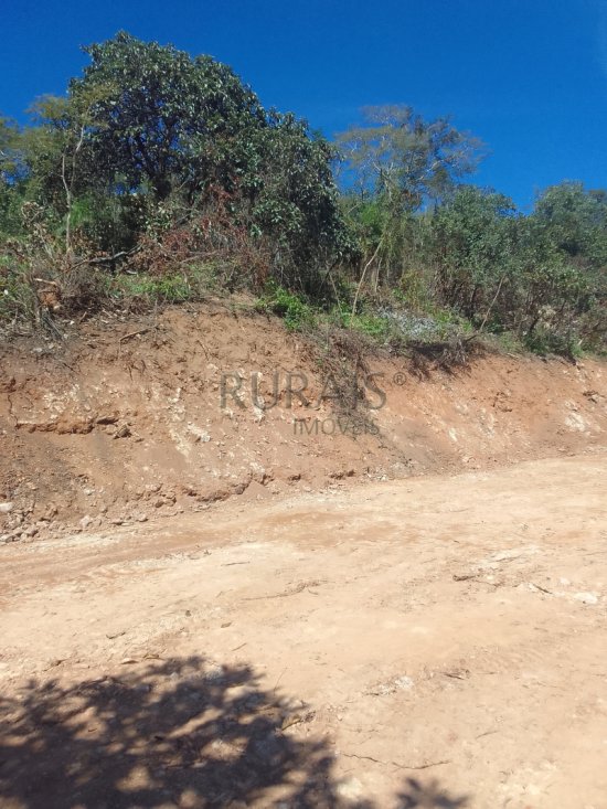 chacara-venda-fazendinha-olhos-daagua-mateus-leme-1117541