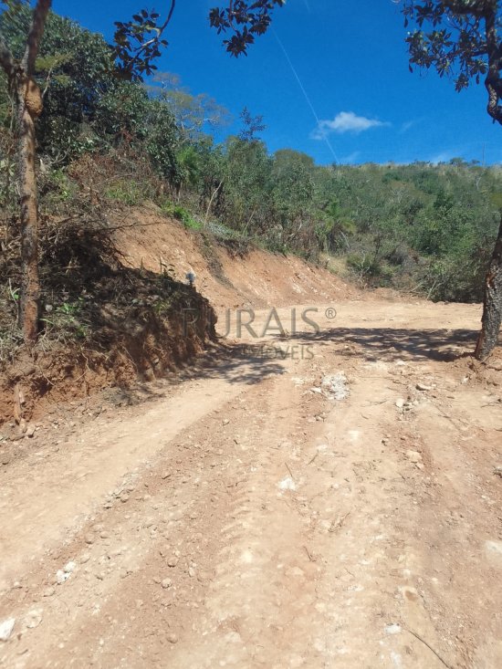 chacara-venda-fazendinha-olhos-daagua-mateus-leme-1117542
