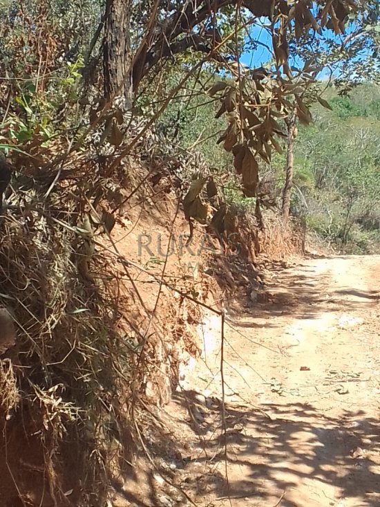 chacara-venda-fazendinha-olhos-daagua-mateus-leme-1117543