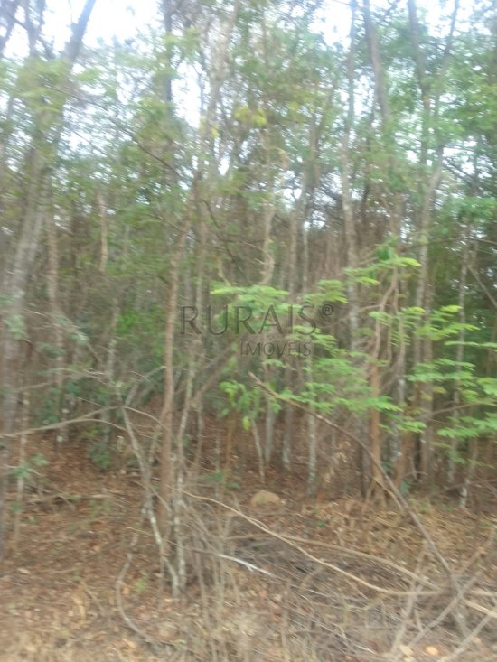 terreno-venda-azurita-mateus-leme-1063369