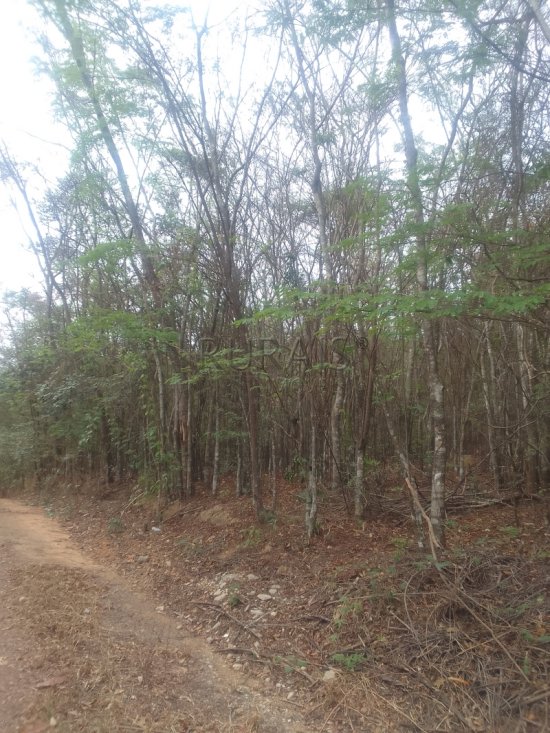 terreno-venda-azurita-mateus-leme-1063370