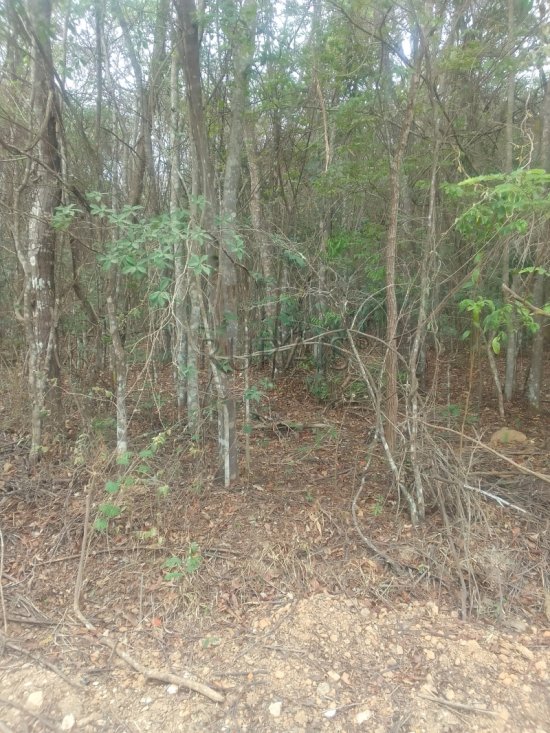 terreno-venda-azurita-mateus-leme-1063372