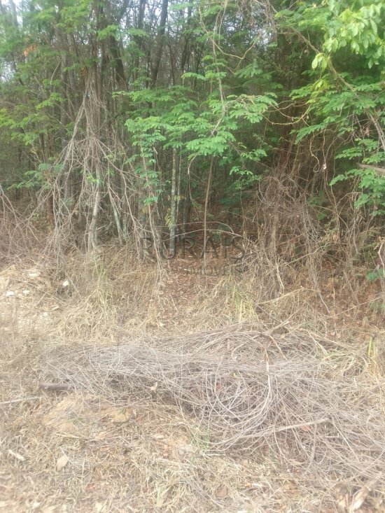 terreno-venda-azurita-mateus-leme-1063376